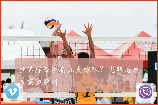 世界杯亚洲有几支球队？完整名单与实力解析