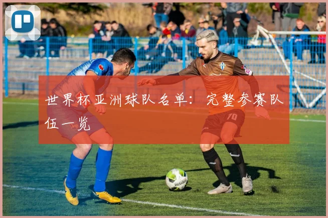 世界杯亚洲球队名单：完整参赛队伍一览