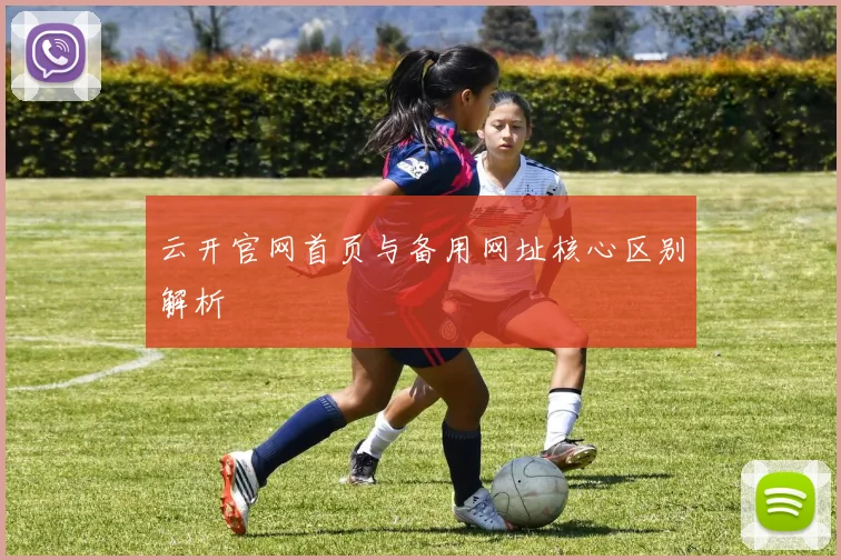 云开官网首页与备用网址核心区别解析